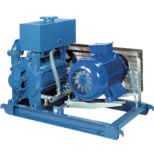 Robuschi LRVS & CRVS